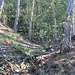 Bergbauversuch 3