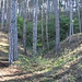 Bergbauversuch 5