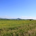 Blick zur Hazmburk
