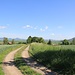 Hradiště Levousy, Wall
