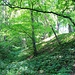 Hradiště Levousy, äußerer Wall