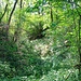 Hrad Šebín, mittelalterliche Burg, Wallgraben, Westseite