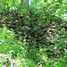 Hrad Šebín, Mauerrest Südseite