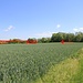 Hrad Šebín, empfohlener Zugang: um das Feld herum bis zum Schornstein, dann absteigen und nach rechts halten.