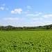 In Bildmitte: Eine weitere unnatürliche Landschaftsform