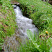 Kostbares Wasser (ab Stativ, kleine Blende, längere Belichtung)