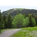 Im Abstieg zur Glockenführe mit Blick zum Herzogenhorn.