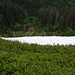 Blick in den grossen Wechtenkessel am Herzogenhorn. Dort unten durch geht's bald durch.