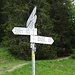 Krunkelbachsattel. Hier wende ich mich Menzenschwand Hinterdorf zu.
