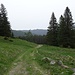 Diese Weg führt zur Schutzhütte Finsterbühl.