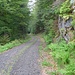 Beim Finsterbühl wende ich mich nach rechts und folge alles diesem Weg. [u alpstein] und [u Esther58] nahmen den Weg nach links und haben wohl die interessantere Variante gewählt.