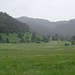 Zwischen Menzenschwand Hinterdorf und den Menzenschwander Wasserfällen mit Blick ins Krunkelbachtal und zum Herzogenhorn.