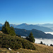 Beste Fernsicht! Am Horizont das Lechquellengebirge mit der Braunarlspitze.