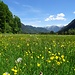 Das Graswangtal gehört neben der Jachenau für mich zu einen der schönsten Plätzen der Bayerischen Alpen. 