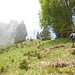 Diese steile Grasflanke direkt unmittelbar unterhalb der Hälikopf-Gipfelfelsen geht's hoch zum Hinteregg-Grat - der [u maxl] macht's vor