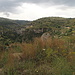 Valle Calcinara