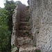 und die steile Treppe wieder hinauf
