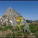im Schilderwald am Gehrenjoch