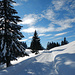 Auf gut präpariertem Winterwanderweg geht's weiter zur Schönermann Alpe