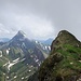 Federi: Doch noch ein Loch im Nebel, doch der Säntis bleibt unsichtbar