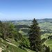 Abstieg via Alp Bommen