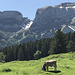 „kitschige“ Alpenlandschaft 
