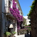 Blütenpracht in Taormina