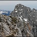 der Gimpel zipfelt hervor