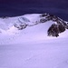 Castor