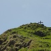 The summit of Wändlispitz.