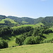 ...die Hügelkette zwischen Schnebelhorn und Chrüzegg