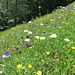 Sommer wie er sein soll.....
