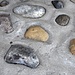 Pflegeleichtes Karée beim Stellwerk Rotkreuz