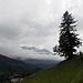 Die Kanisfluh hat sich schon bald vom Gewölk befreit...