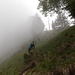 Zurück in der steilen Wiese hinab zum Wanderweg
