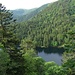Blotti dans son écrin de verdure .