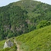 le sentier est magnifique : au fond , le Rainkopf .