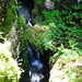 Blick in die Schlucht