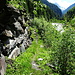 Wanderweg unterhalb der Straße