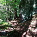 schöner Wanderweg