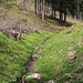 Waldsteig