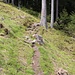 Waldsteig