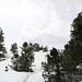 und plötzlich Winter