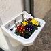 Blumenschmuck in Caslano