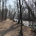 Waldweg Richtung See und Mündungsgebiet