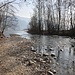Die Mündung der Magliasina ist ein Naturschutzgebiet