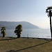 Wiese in Agno