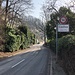 auf der Hauptstrasse ohne Troittoir weiter...