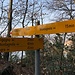 nun wird es plötzlich ein Bergweg