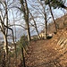 der Höhenweg nach Figino